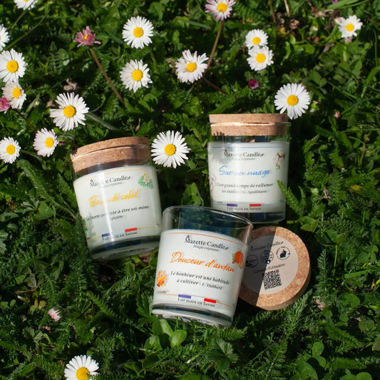 Sélection de 3 bougies 65g pour coffret Mazette Candle, parfums monoï, citrouille, fleur de coton, couchées dans l'herbe