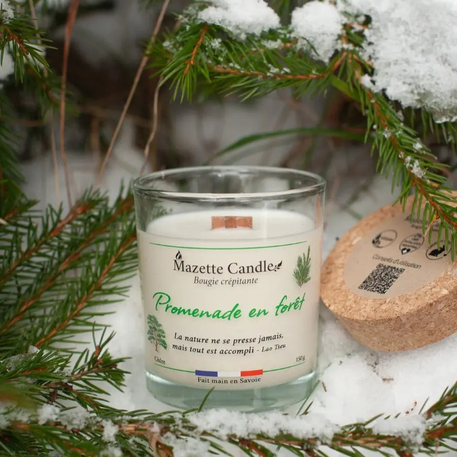 Bougie Mazette Candle Promenade en forêt 150g parfum cèdre, posée sur la neige sous des branches de sapin